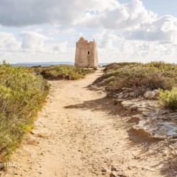 Paisaje en la isla de Ibiza | Hierbas de Ibiza Perfumes