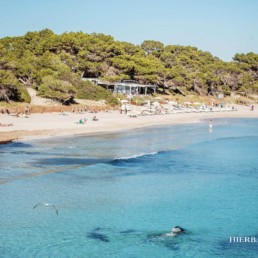 Playa en la isla de Ibiza | Hierbas de Ibiza Perfumes